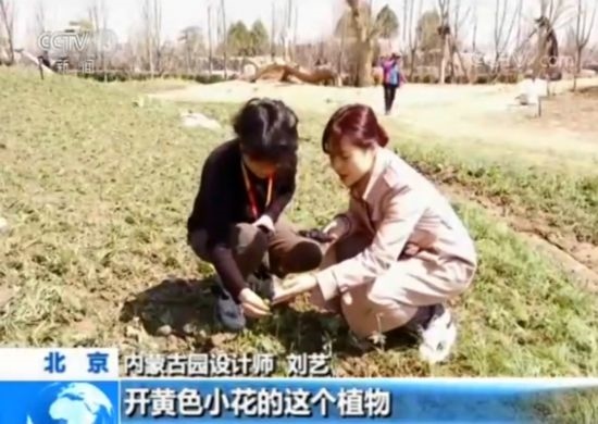 【魅力世園會(huì)】?jī)?nèi)蒙古園：壯美的北疆畫(huà)卷