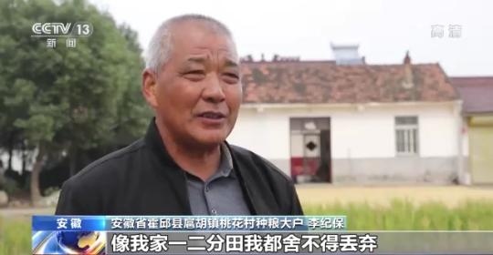 十八連豐！秋收近九成 我國糧食產(chǎn)能穩(wěn)步提升