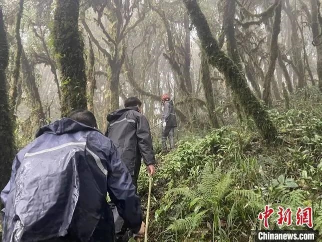 圖為救援現(xiàn)場。鎮(zhèn)沅縣委宣傳部提供