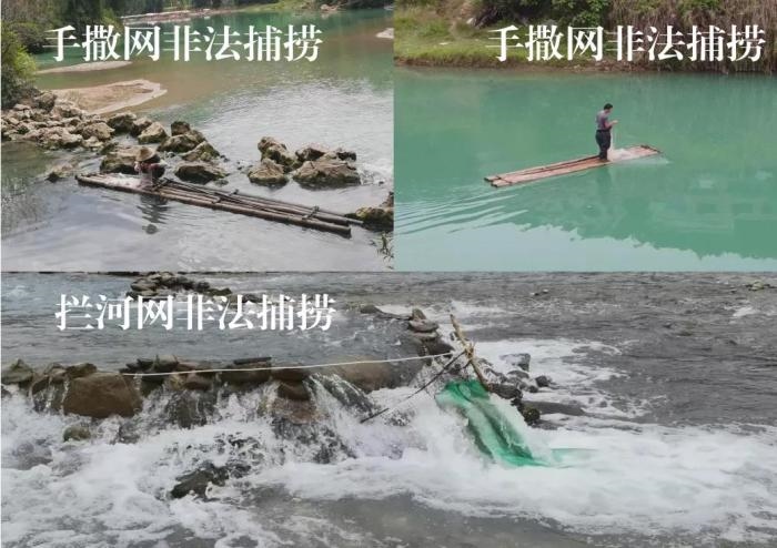 2021年9—10月，前期暗查發(fā)現(xiàn)，保護區(qū)核心區(qū)內(nèi)非法捕撈行為十分猖獗