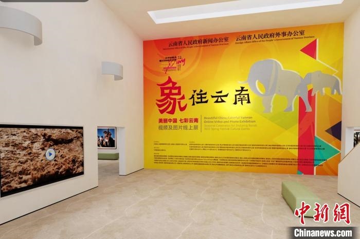 圖為“象”往云南——美麗中國 七彩云南視頻及圖片線上展截圖?！『h航 攝