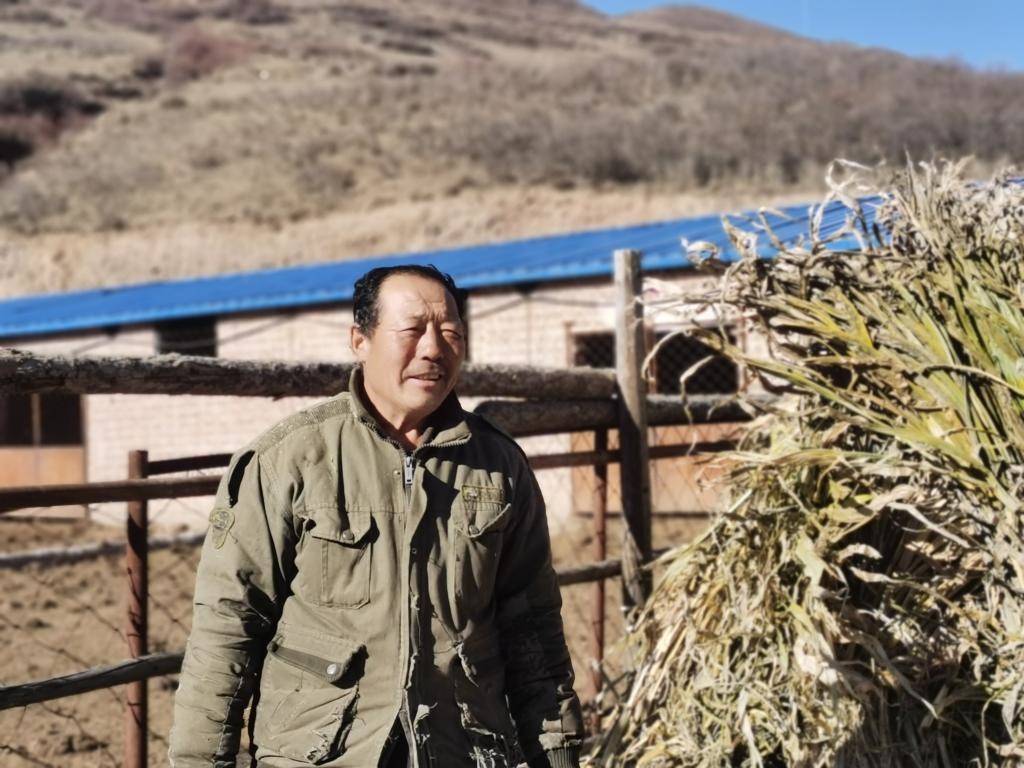 1月19日，山西省岢嵐縣脫貧戶呂如堂在牛圈前準(zhǔn)備草料。新華社記者 梁曉飛 攝