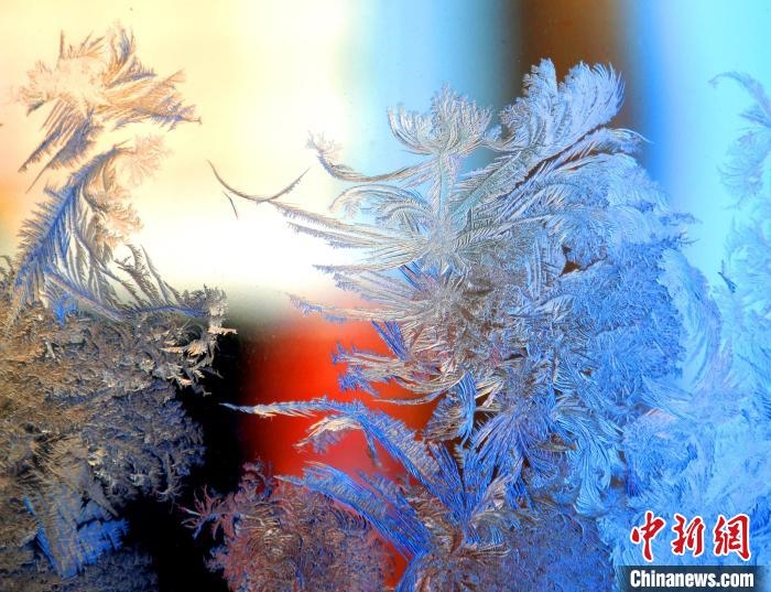 冰窗花千姿百態(tài)?！O書程 攝