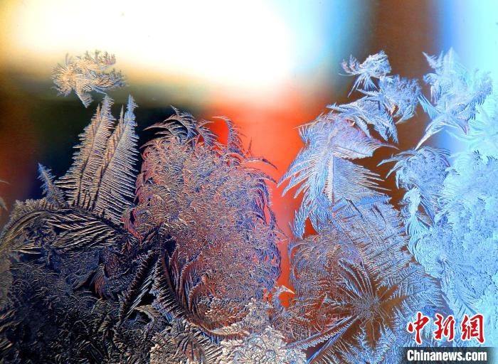 惟妙惟肖的冰窗花，似一幅風(fēng)景畫。　孫書程 攝