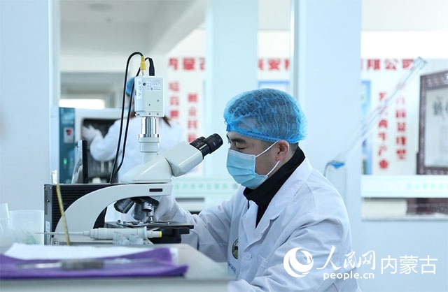 內(nèi)蒙古中農(nóng)興安種?？萍加邢薰韭鋺艨朴抑衅欤瑸槿馀．a(chǎn)業(yè)發(fā)展提供了優(yōu)質(zhì)的種源保障。白俊華攝