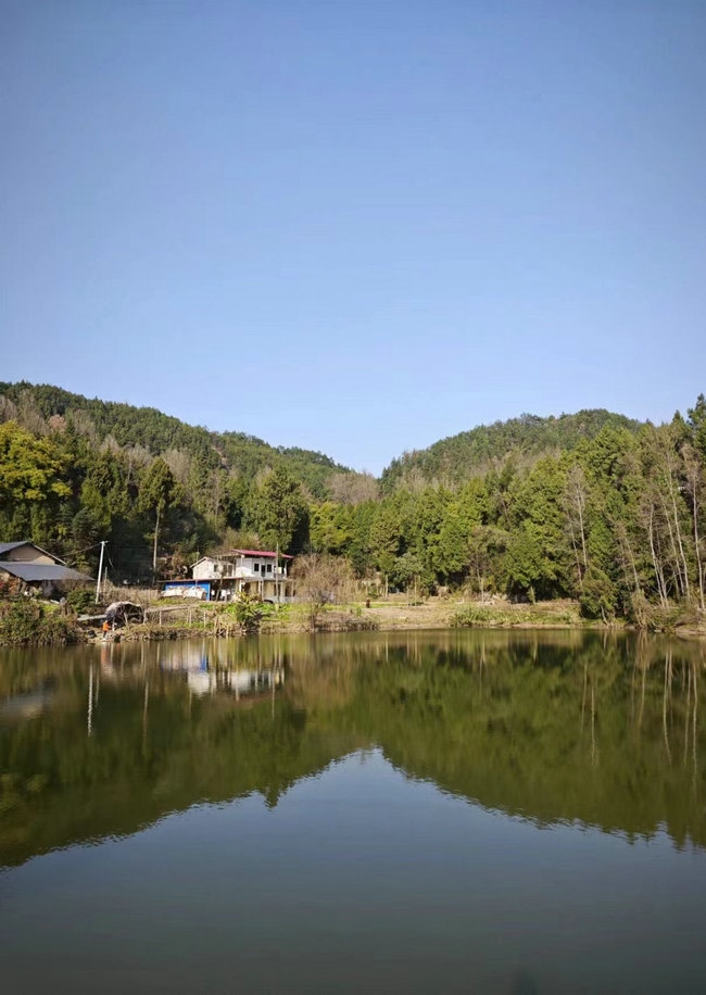 這樣在對面看，老家也算依山傍水.jpg