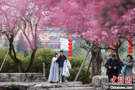 2月23日，市民在乾藝梅園景區(qū)觀賞綻放的梅花。瞿宏倫 攝