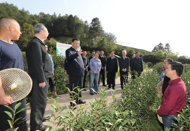 2021年3月22日，習近平總書記在福建南平武夷山市星村鎮(zhèn)燕子窠生態(tài)茶園，同科技特派員、茶農親切交流，了解當?shù)夭璁a業(yè)發(fā)展情況。