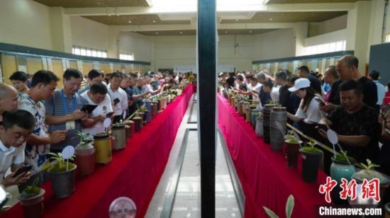 圖為活動現(xiàn)場。 云南省委臺辦供圖