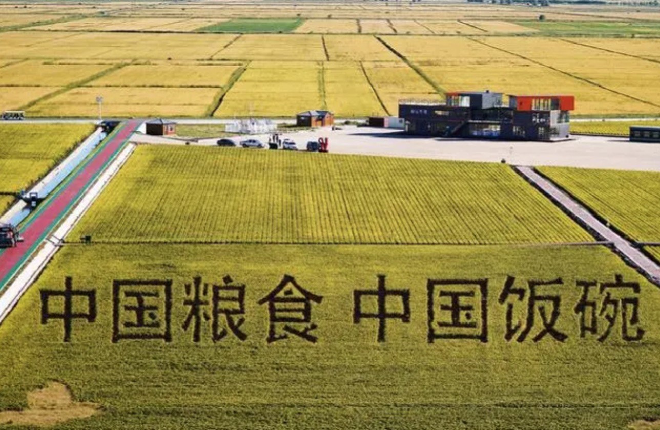 2022年9月2日，黑龍江省富錦市萬(wàn)畝水稻科技示范園內(nèi)的稻田畫(huà)。