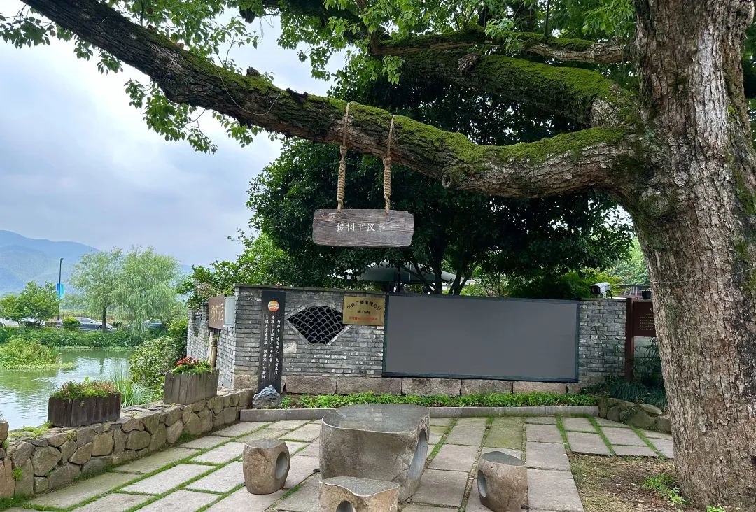 浙江省杭州市余杭區(qū)小古城村的“樟樹下議事”木制字牌。靜玄 攝