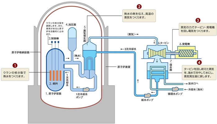 核電站運作原理圖。通常的核電站排水未直接接觸核燃料。（圖片來源：日本北海道電力株式會社網站）