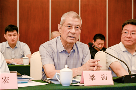中國林業(yè)生態(tài)作家協(xié)會(huì)名譽(yù)主席梁衡發(fā)言。主辦方供圖