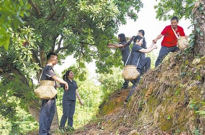 村民幫助志愿者爬上山坡。