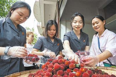 志愿者和村民一起將摘下的楊梅裝進(jìn)食品盒里。