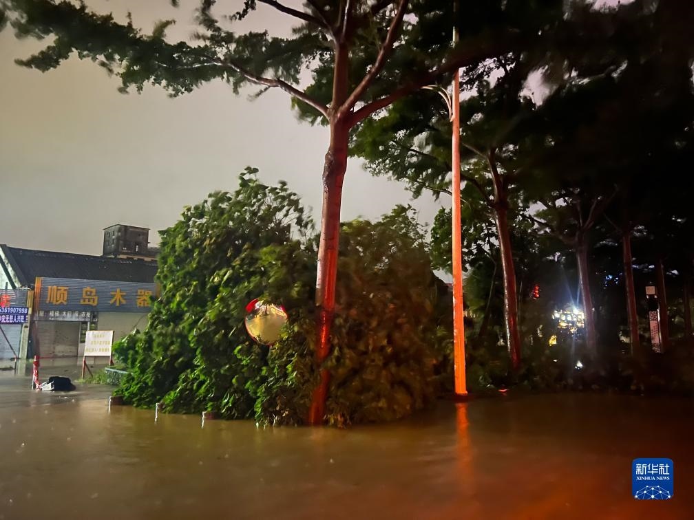 7月17日晚，在廣東湛江海濱大道北，路邊的樹木被風(fēng)刮倒（手機照片）。新華社記者 鄧華 攝