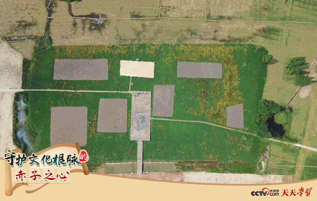 2019年6月23日無人機拍攝的良渚國家考古遺址公園的宮殿區(qū)。