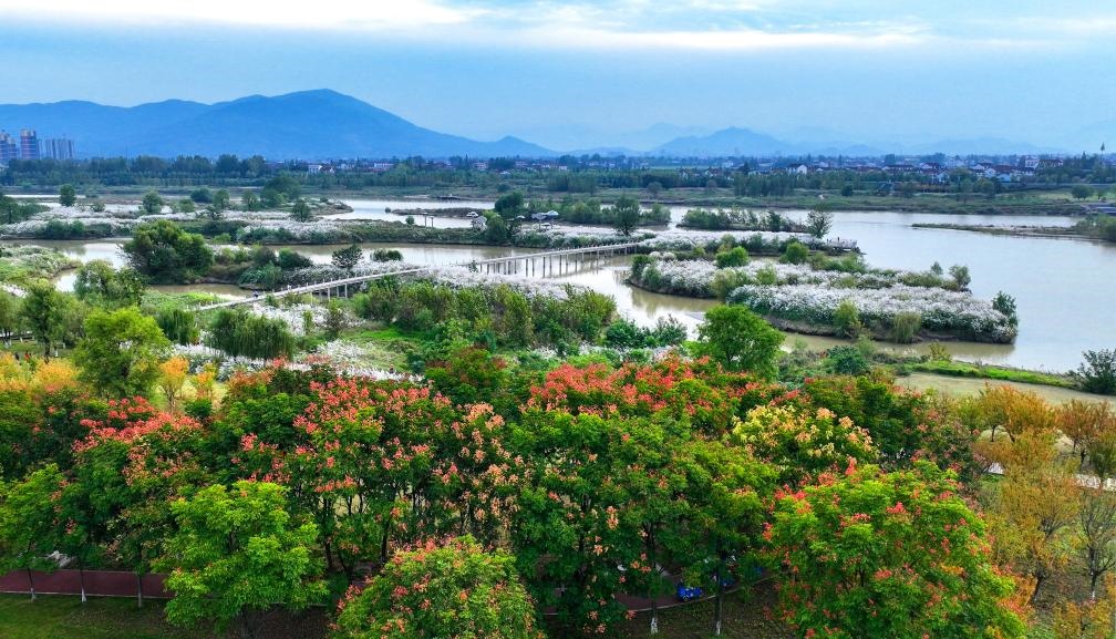 2022年10月11日拍攝的天漢濕地公園景色。新華社發(fā)（宋曉麗 攝）
