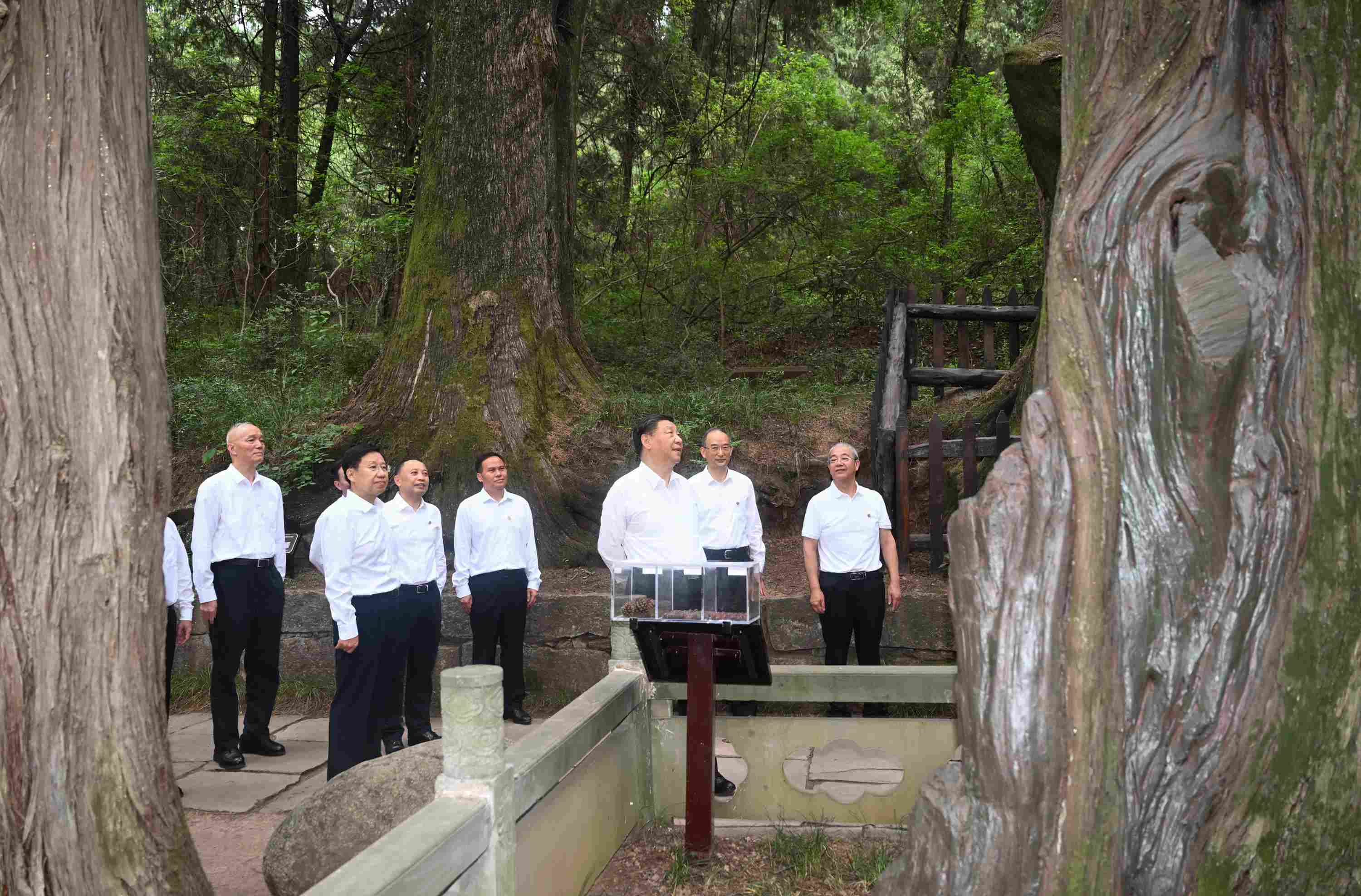 △2023年7月25日，習(xí)近平總書記在四川省廣元市考察了翠云廊古蜀道，了解當(dāng)?shù)赝七M(jìn)歷史文化傳承、加強(qiáng)生態(tài)文明建設(shè)等情況。