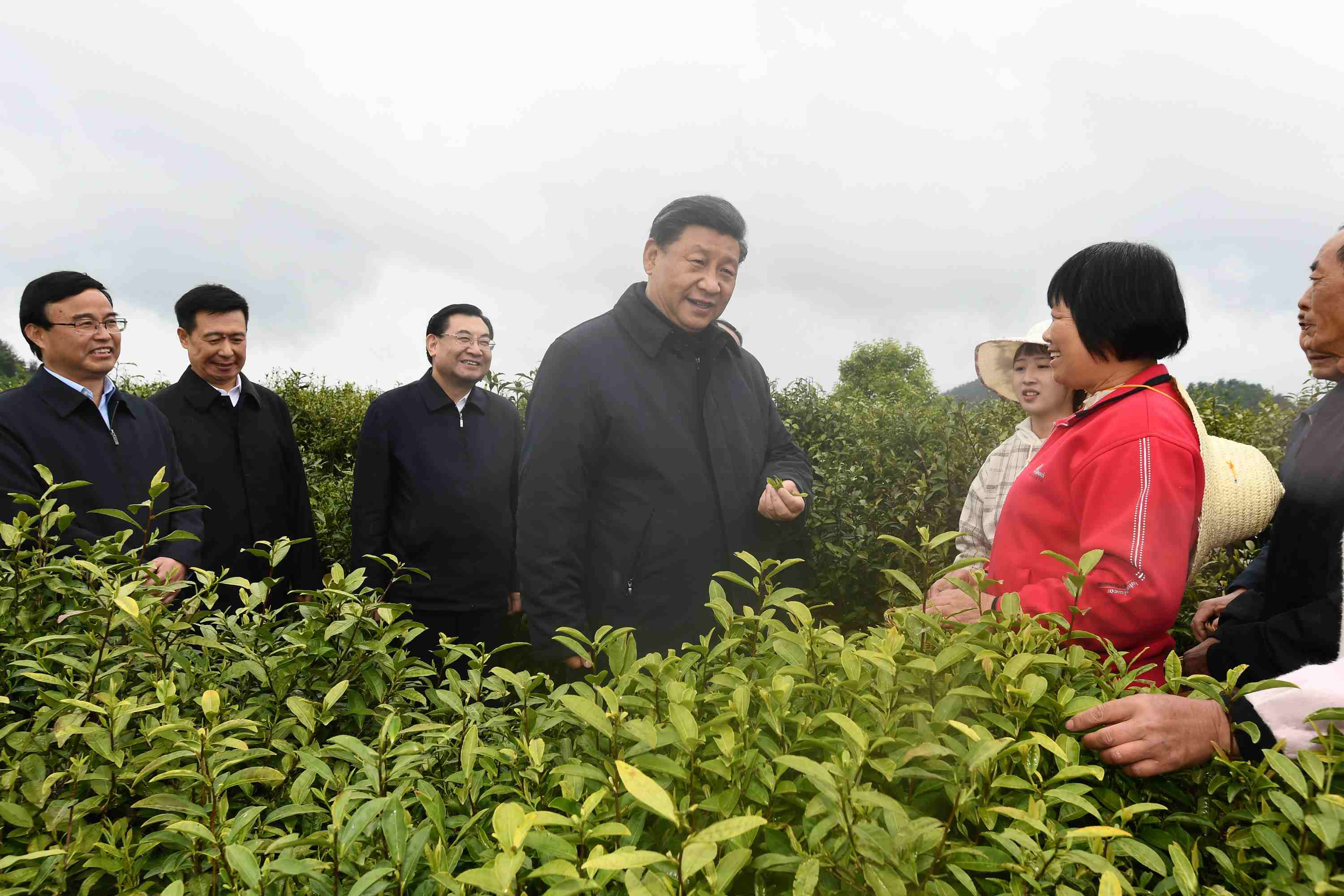 4月20日至23日，中共中央總書記、國家主席、中央軍委主席習(xí)近平在陜西考察。這是4月21日，習(xí)近平在安康市平利縣老縣鎮(zhèn)蔣家坪村女媧鳳凰茶業(yè)現(xiàn)代示范園區(qū)，同茶農(nóng)們親切交談。