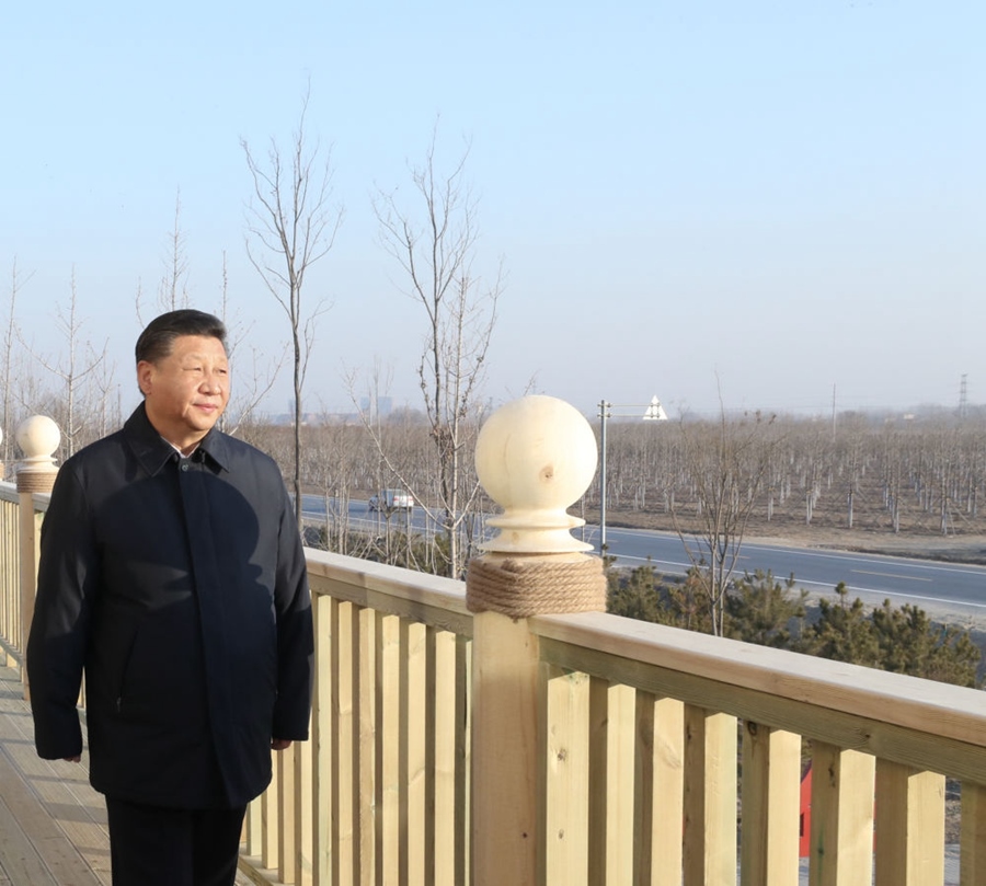 2019年1月16日，習(xí)近平在河北雄安新區(qū)考察調(diào)研。在“千年秀林”大清河片林一區(qū)造林區(qū)域，習(xí)近平登上秀林驛站二層平臺遠(yuǎn)眺林區(qū)全貌。