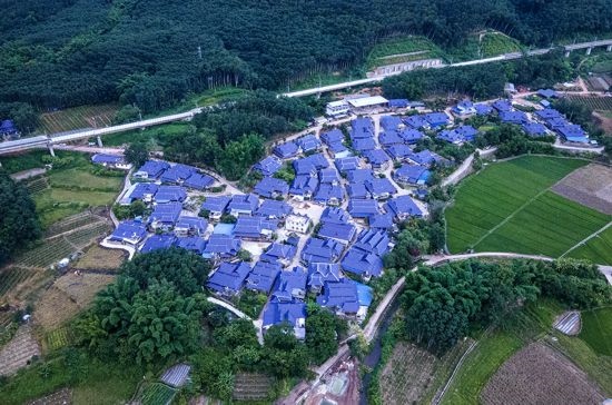 磨憨鎮(zhèn)曼莊村大龍哈小組現(xiàn)代化邊境幸福村新貌。人民網(wǎng)記者 符皓攝