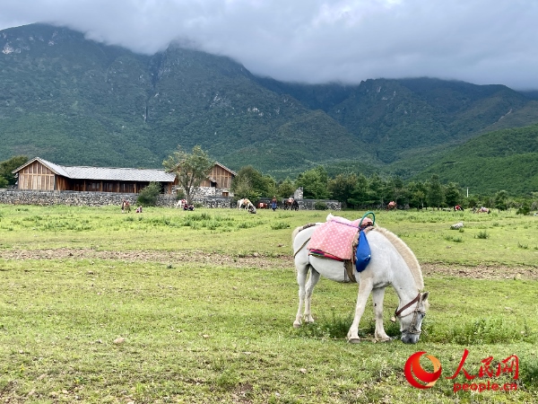 玉湖村附近草甸。人民網(wǎng) 周靜圓攝