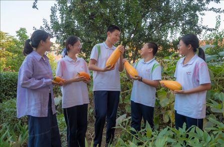 密云區(qū)第五中學(xué)豐收節(jié)活動(dòng)。北京市教委供圖