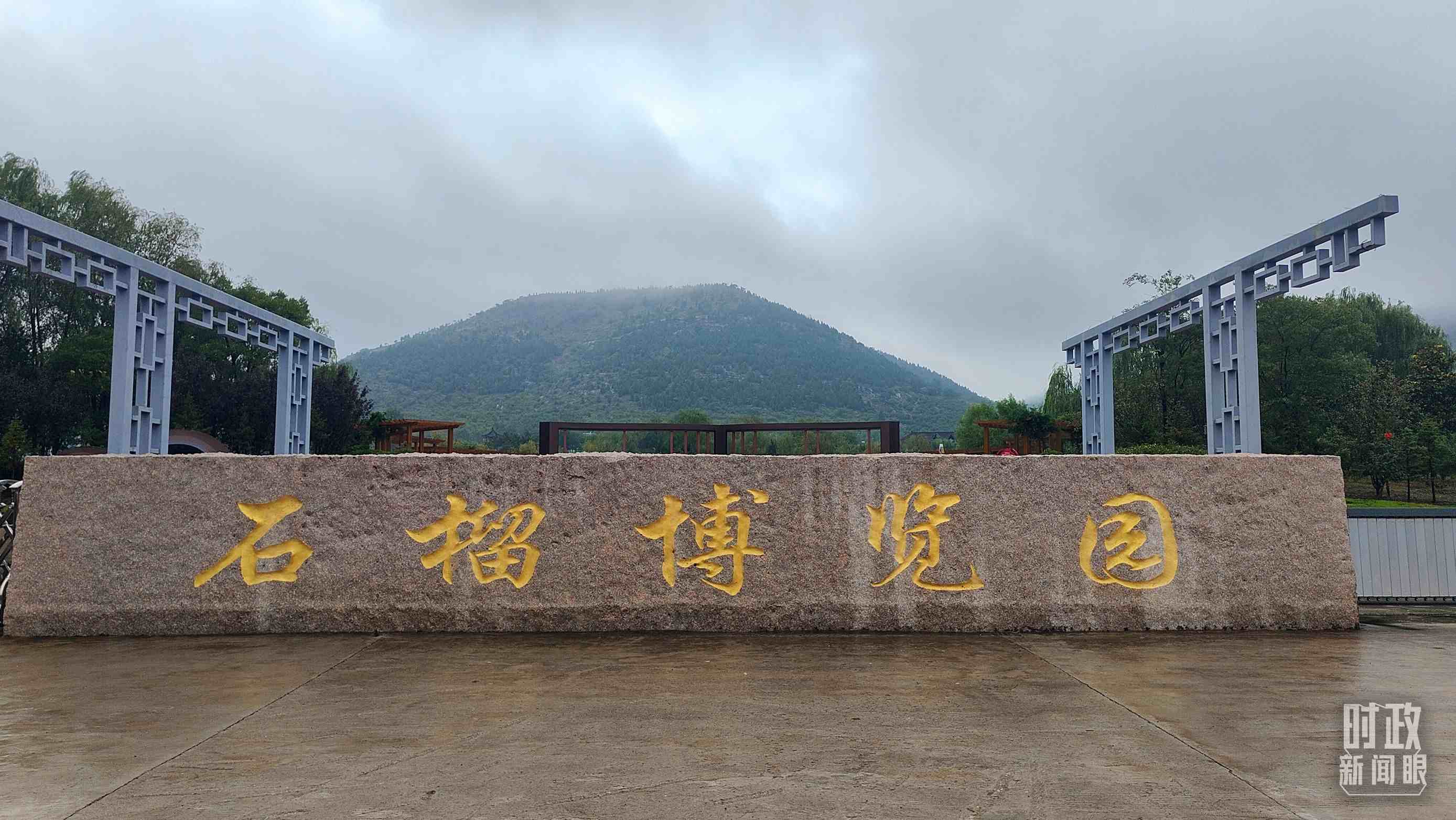△石榴種質(zhì)資源庫位于石榴博覽園內(nèi)。（總臺央視記者楊立峰拍攝）