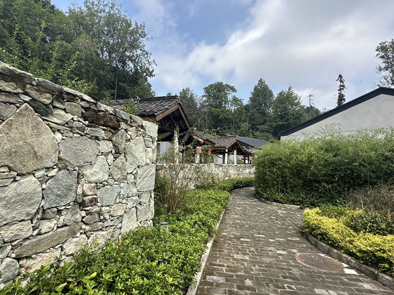 眾多民宿坐落于夫子山山麓。人民網(wǎng) 王紹紹攝