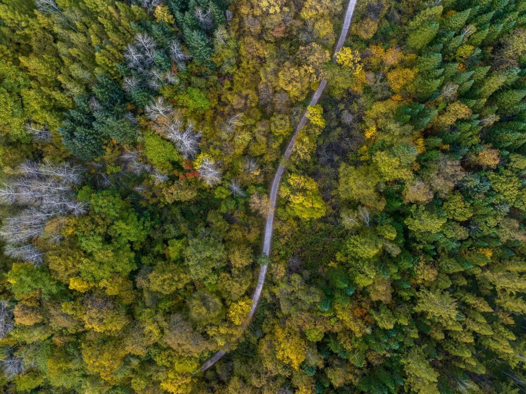 綠意盎然的長白山地區(qū)。王哲攝