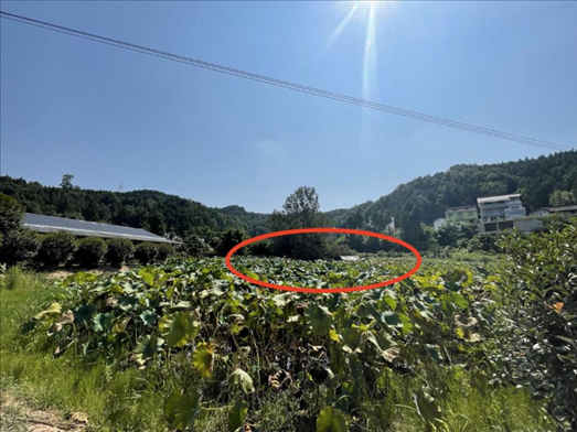 曾經(jīng)的圣水園所在地。 人民網(wǎng)記者 楊喬攝