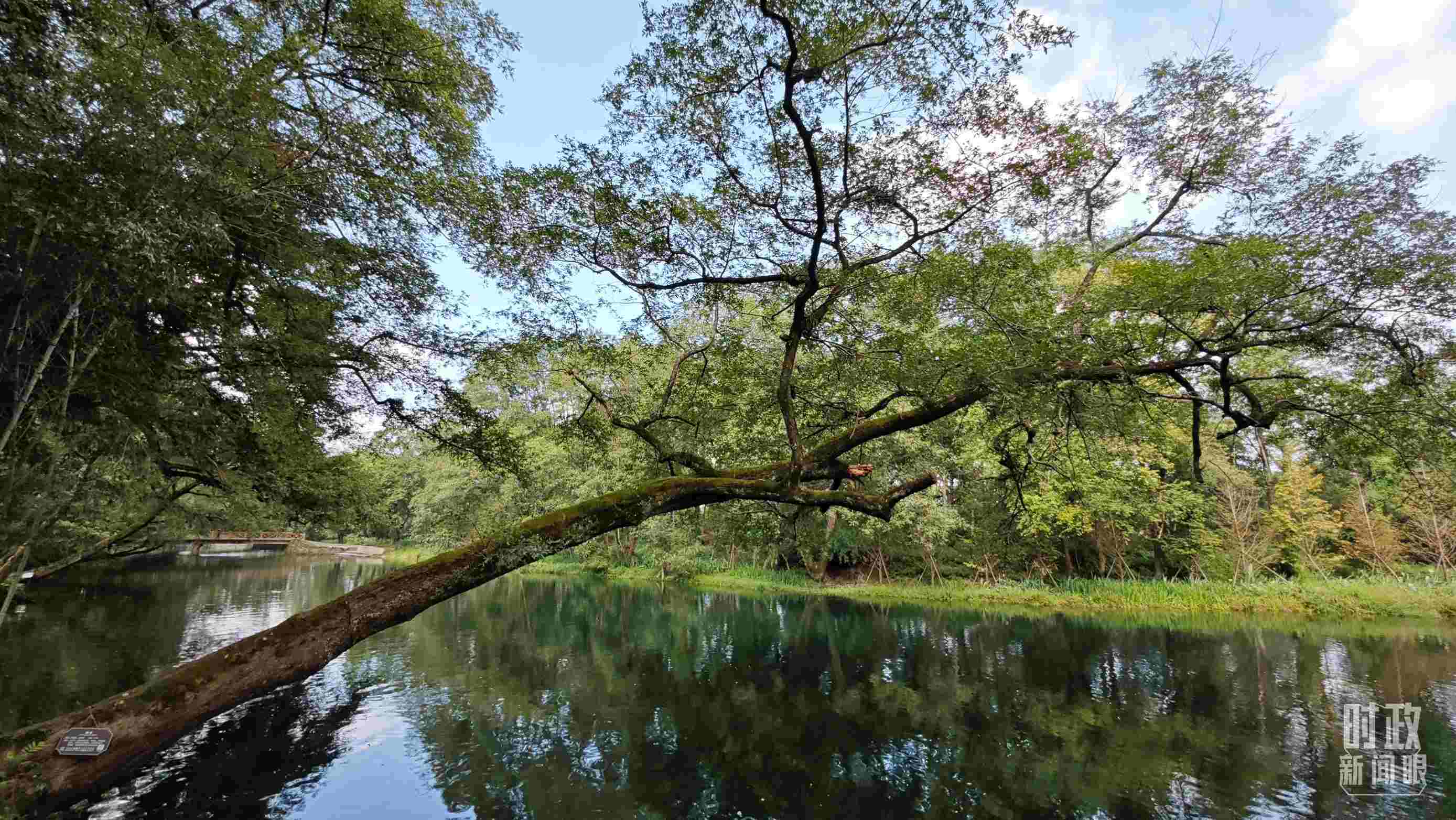 △饒河源國家濕地公園。（總臺央視記者郁振一拍攝）