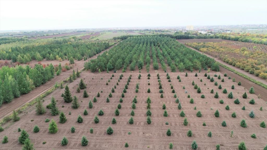 這是2023年9月11日在哈薩克斯坦首都阿斯塔納拍攝的一處植物種質(zhì)資源苗圃（無(wú)人機(jī)照片）。新華社發(fā)（法爾哈特·圖克諾夫 攝）