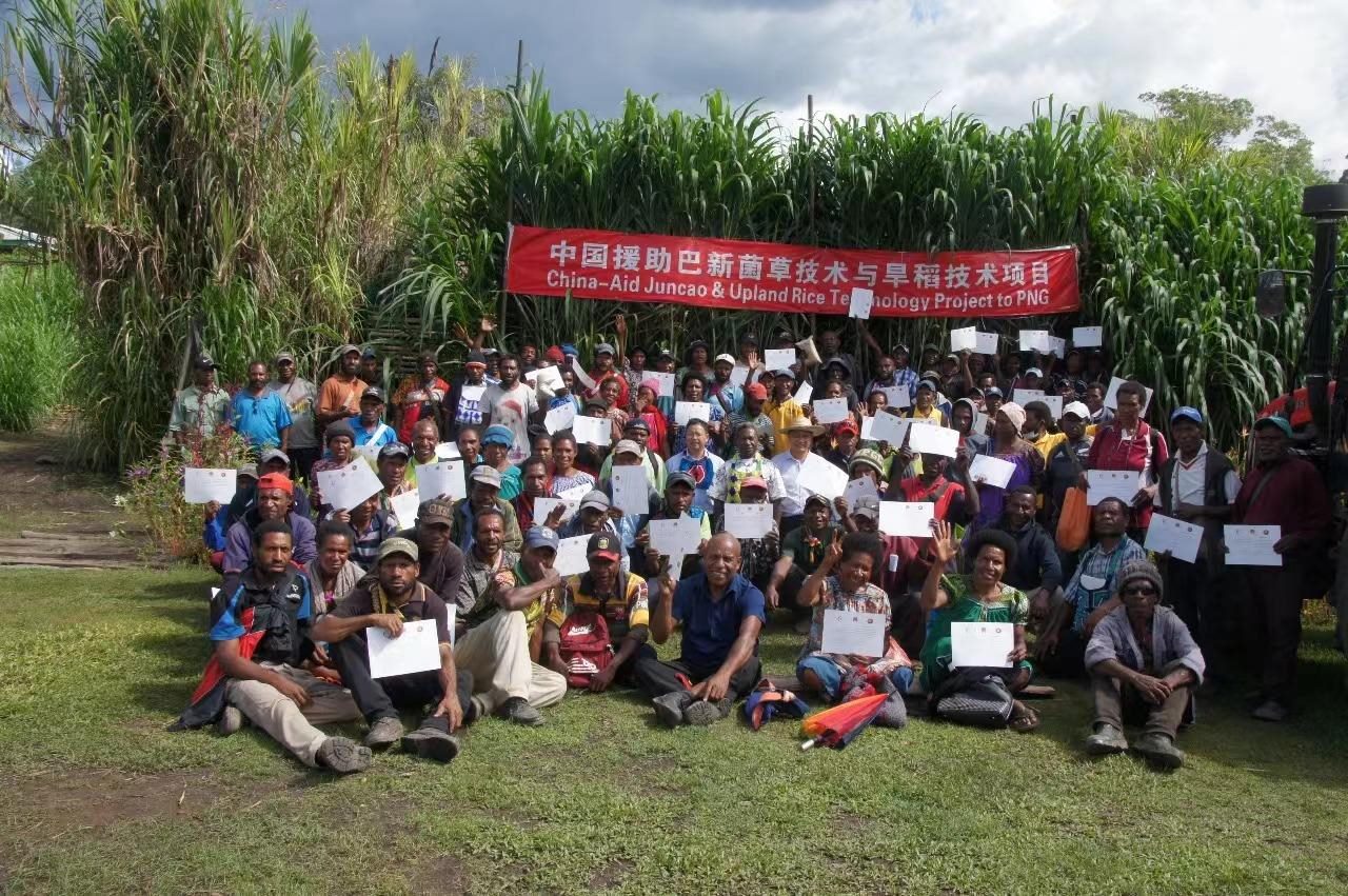 △2020年12月17日，在巴布亞新幾內(nèi)亞東高地省，參加中國援助巴新菌草和旱稻技術(shù)項目第9期培訓(xùn)班的當(dāng)?shù)孛癖娬故窘Y(jié)業(yè)證書。