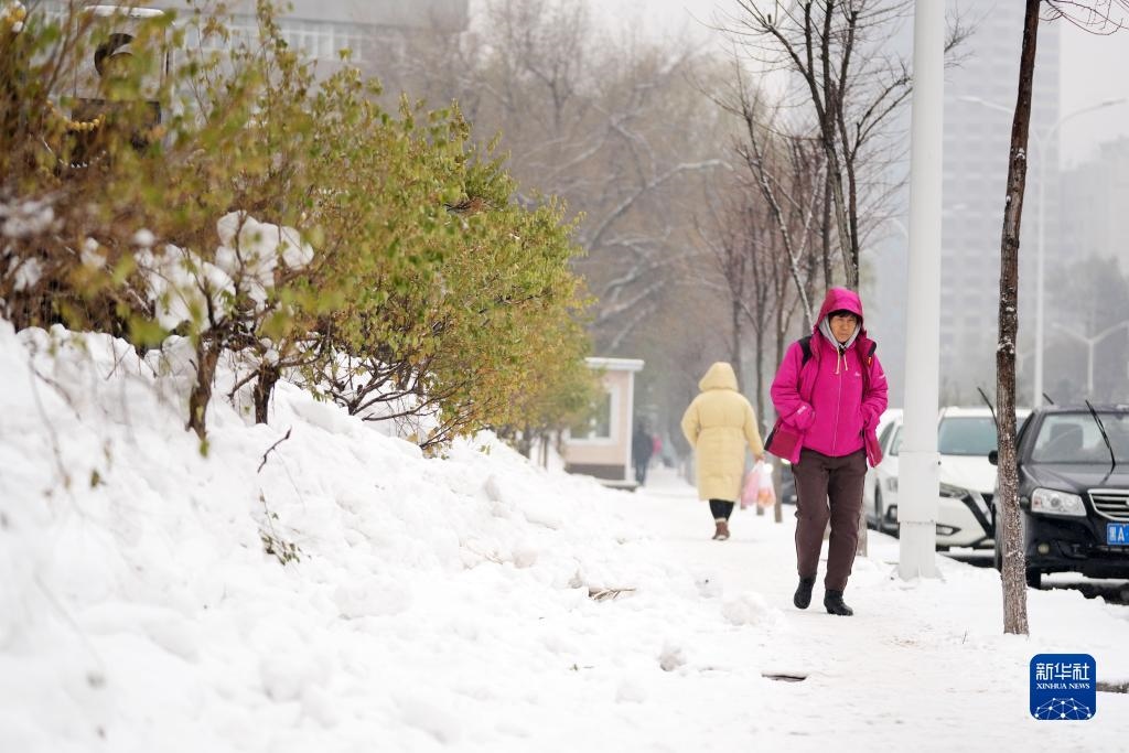 11月16日，市民在雪中前行。當(dāng)日，黑龍江哈爾濱市迎來雨雪天氣。新華社記者 王建威 攝