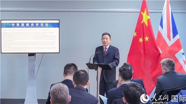 武漢市人大常委會(huì)副主任龍良文致辭。人民網(wǎng) 郭錦標(biāo)攝