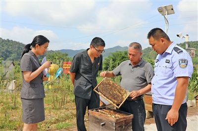  圖②：蒙山法院黃村法庭法官深入蜂蜜合作社，實地了解蜂農(nóng)需求。