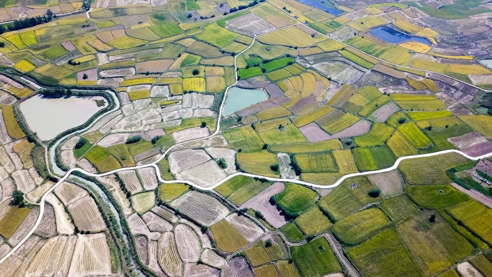 安徽省鳳陽縣小崗村的田野景象（2018年9月27日攝，無人機照片）。新華社記者 張端 攝