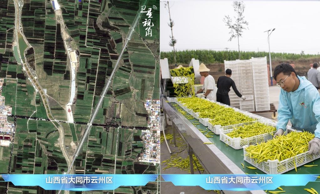當(dāng)前，大同市開(kāi)發(fā)黃花菜品、食品、飲品、功能食品、化妝品、文創(chuàng)產(chǎn)品六大系列130余種，全產(chǎn)業(yè)鏈產(chǎn)值超40億元。