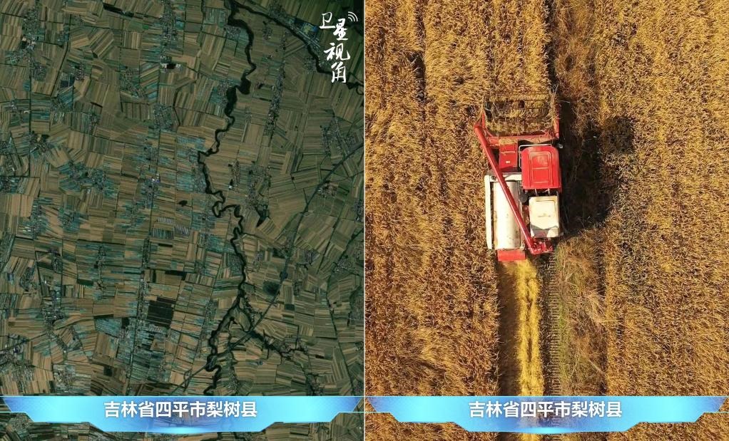 隨著現(xiàn)代化農(nóng)機(jī)普及應(yīng)用，保護(hù)性耕作“梨樹(shù)模式”得以大面積推廣，不僅使黑土地保護(hù)與利用持續(xù)深入，更為糧食作物高產(chǎn)穩(wěn)產(chǎn)助力。
