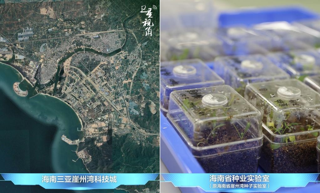 位于三亞崖州灣科技城的海南省種業(yè)實(shí)驗(yàn)室（原海南省崖州灣種子實(shí)驗(yàn)室）將形成輻射全國(guó)和“一帶一路”沿線國(guó)家的種子科學(xué)技術(shù)創(chuàng)新中心。