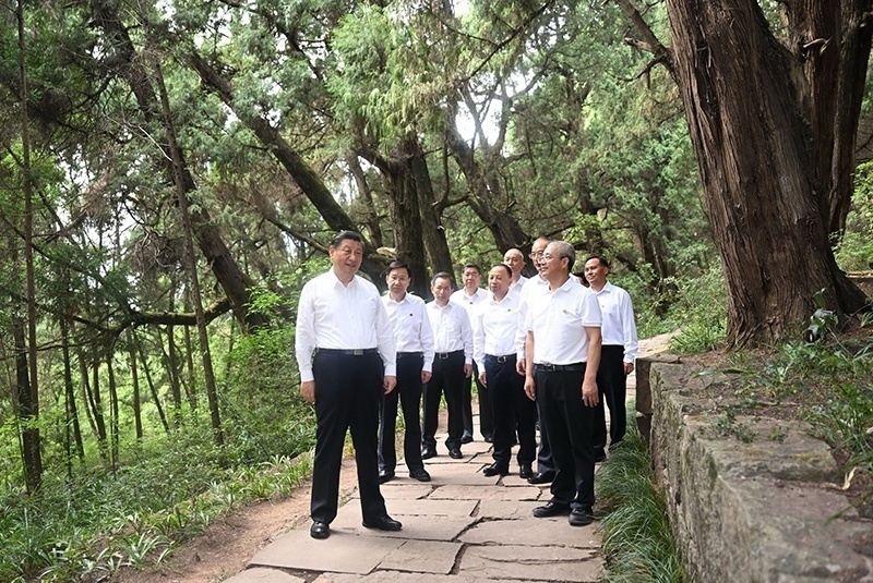 2023年7月25日，習(xí)近平總書(shū)記在四川廣元市劍閣縣翠云廊考察。新華社記者 謝環(huán)馳 攝