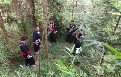 “瑤老”人民調(diào)解員翻山越嶺開展現(xiàn)場調(diào)解。