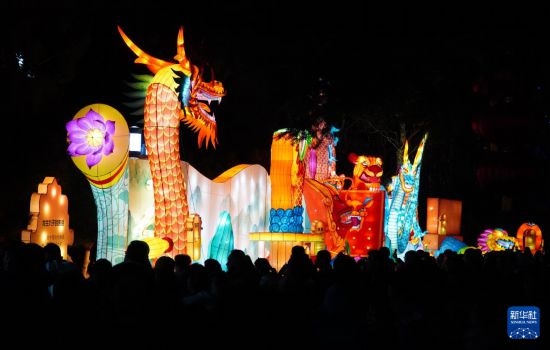 2月11日晚，人們在濟南市趵突泉公園觀賞花燈。