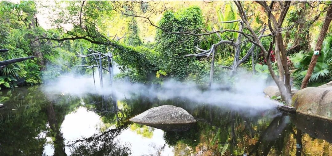 △鼓浪嶼-萬石山風景名勝區(qū)重要組成部分廈門園林植物園熱門景點“雨林世界”。