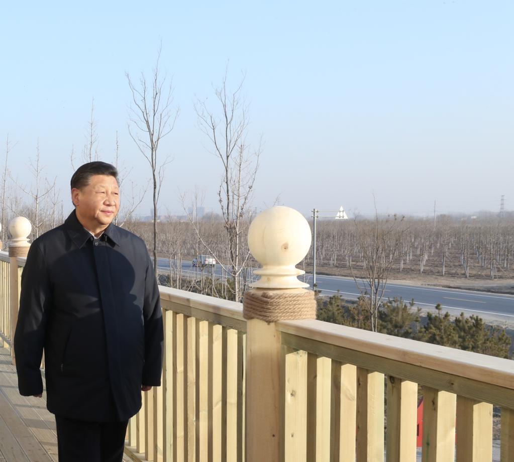 2019年1月16日，在河北雄安新區(qū)“千年秀林”大清河片林一區(qū)造林區(qū)域，習(xí)近平總書記登上秀林驛站二層平臺(tái)遠(yuǎn)眺林區(qū)全貌。新華社記者 鞠鵬 攝