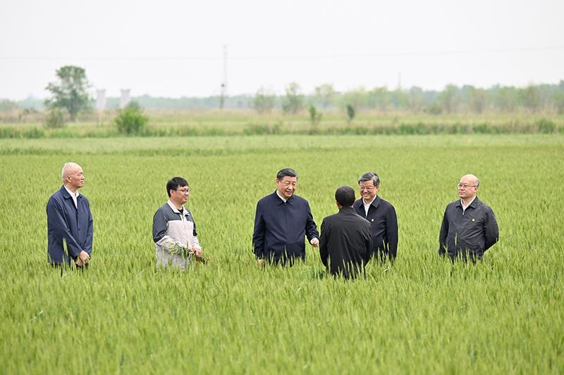 △2023年5月11日，習(xí)近平總書記在河北滄州黃驊市舊城鎮(zhèn)仙莊片區(qū)旱堿地麥田同種植戶、農(nóng)技專家親切交流。