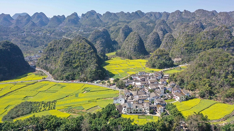 2024年2月17日，貴州省興義市萬峰林景區(qū)的油菜花海景色（無人機(jī)照片）。