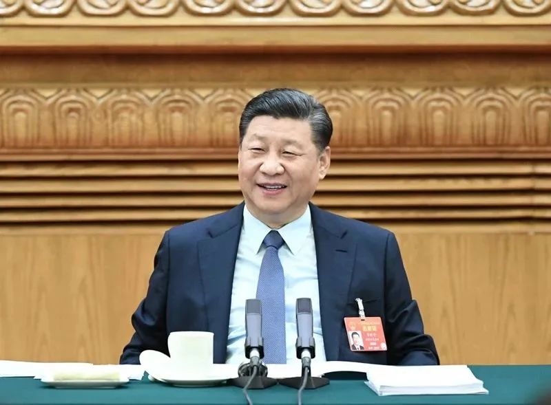 2019年3月8日，習(xí)近平參加十三屆全國人大二次會(huì)議河南代表團(tuán)的審議。新華社記者 謝環(huán)馳 攝